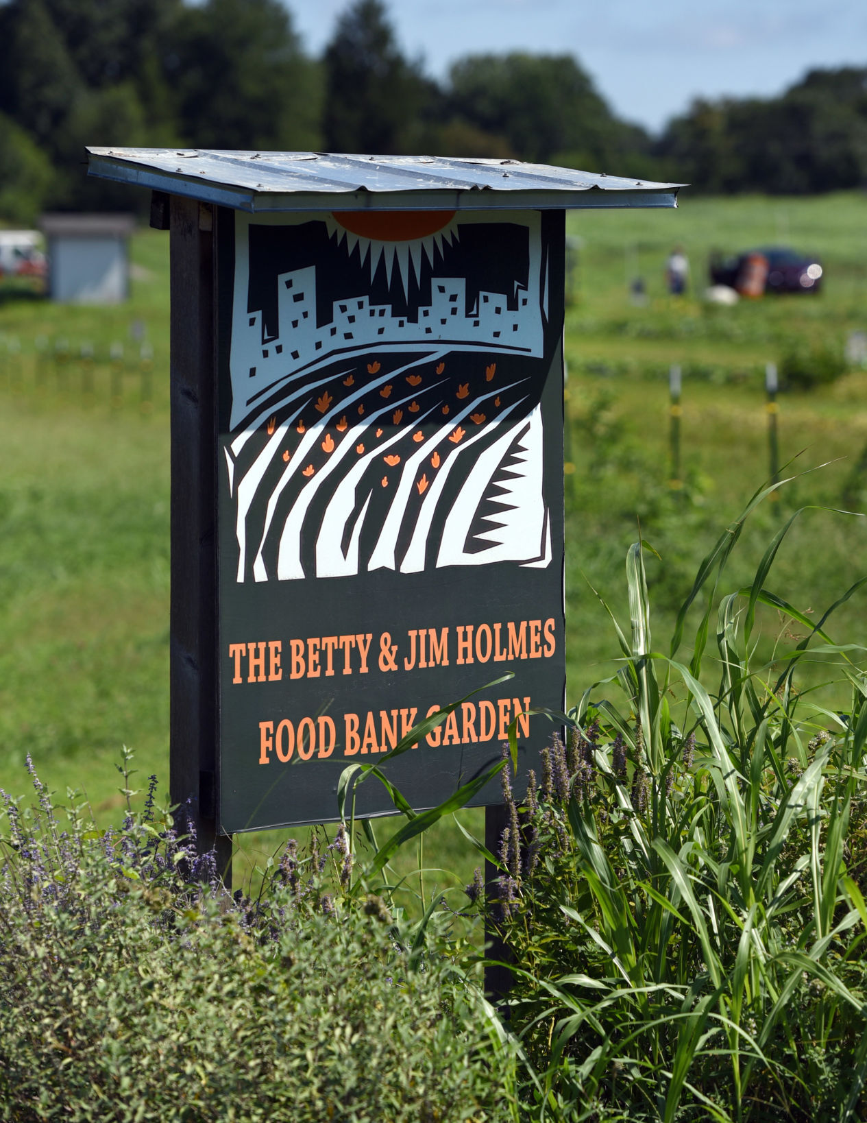 Food Bank garden